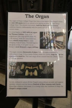 The organ story