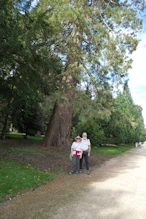 Nick + Robyn near big tree