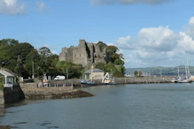 Castle