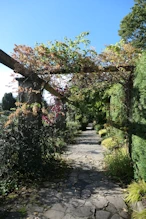 Formal garden getting Autumn colours