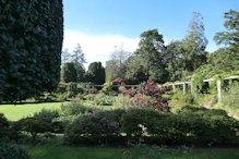 Formal garden getting Autumn colours