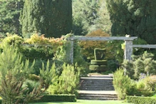 Harp topiary