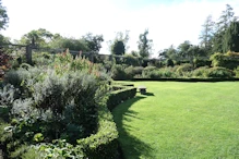 Formal garden lawn
