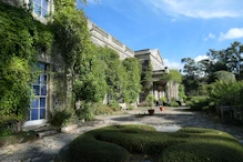 Front of the house with lots of creepers
