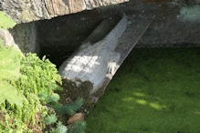 A crocodile lurking under arch