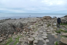 Lower part showing tops of hexagonal columns