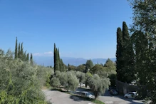 Over view