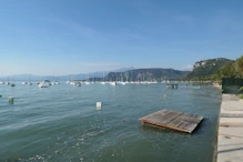 Lots of sailing boats