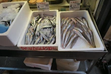 Fish monger