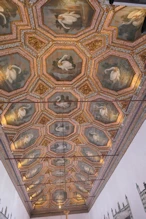 Ceiling with lots of swans