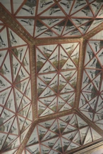 Magpie ceiling (they may indicate eloquence)