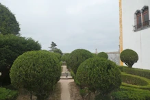 Some topiary