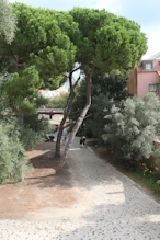 View from wall to areological site