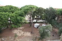 Inner yard