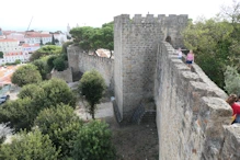 The wall