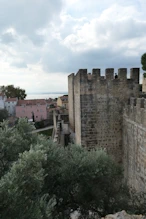 The wall