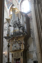 The organ