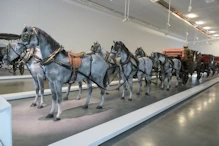 Coach with horses