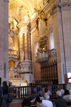 Organ