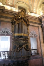 Organ