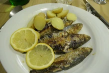 Grilled sardines for lunch