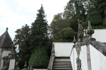 The tree each side