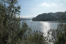 Glistening water near bend in river