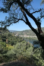 Looking down river