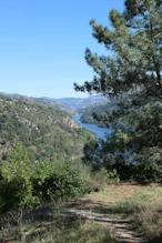 River bend
