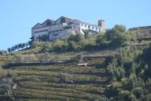 A winery