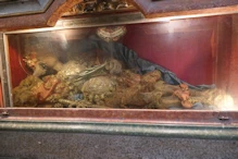 Skeleton of saint partially covered in cloth to represent the body