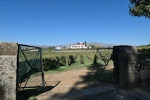 Some vines neard Casa