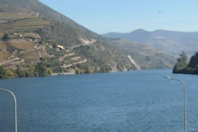Dam and lock just upriver from