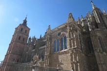 Cathedral across the road