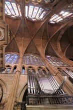 The organ