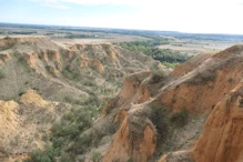 The ravine