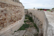 Moat