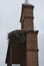 Small Romanesque church with storks nest