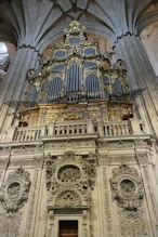 The organ