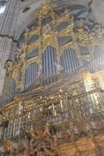 Organ