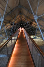 Between the rook and vaulting tops