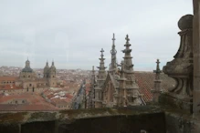 View from bell level of the Clerecus Church