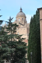 The cathedral copula