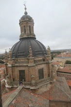 Cupula