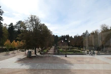 View of  garden from house