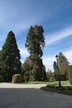 Garden on town side of palace with mature trees