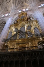 The organ