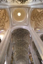 The dome