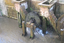 A working water wheel