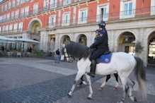 Mounted police (the horse closest has a very bushy mane)